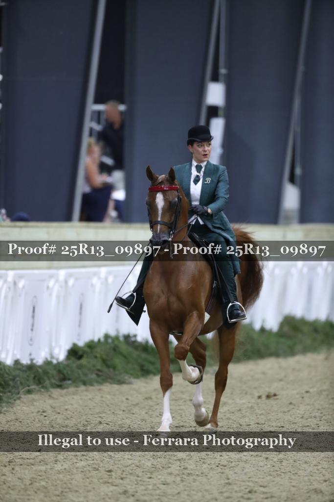 Proof Number 25R13_09897