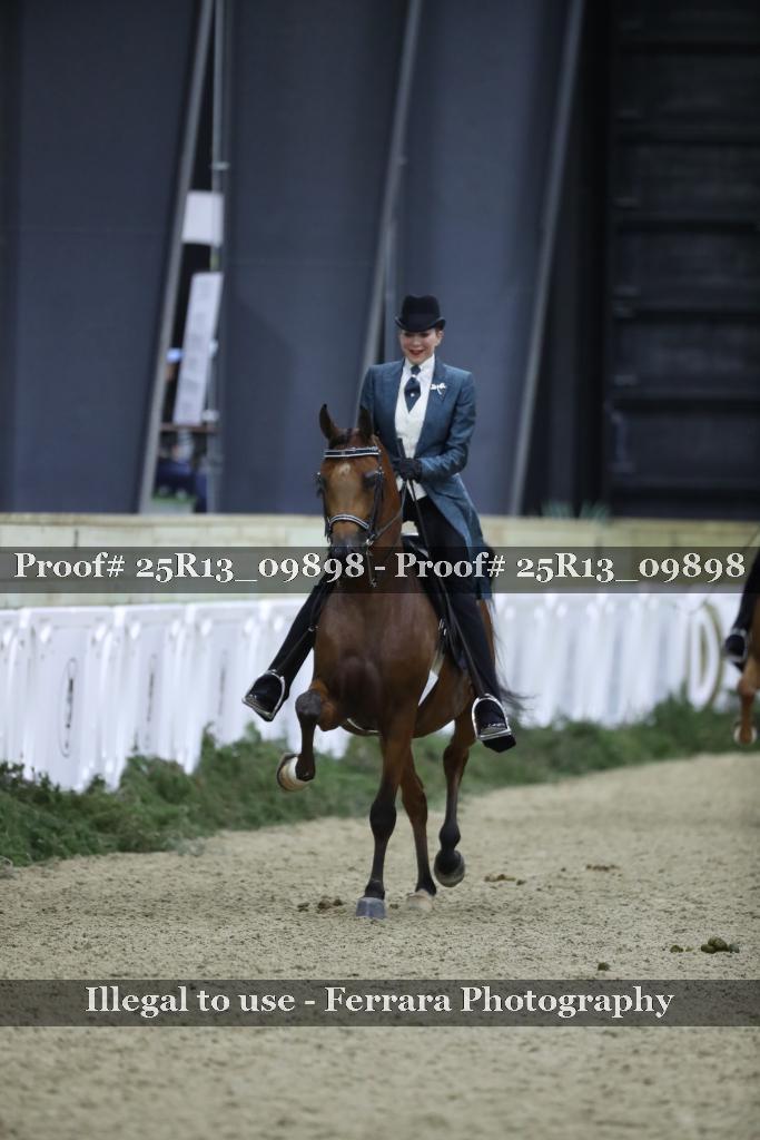 Proof Number 25R13_09898