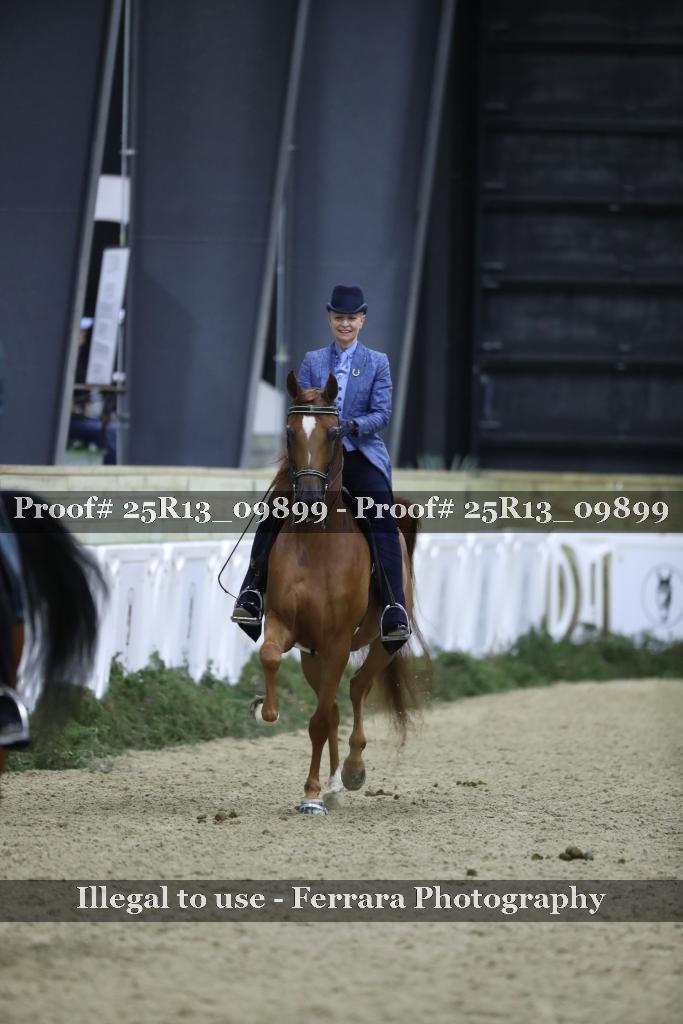 Proof Number 25R13_09899