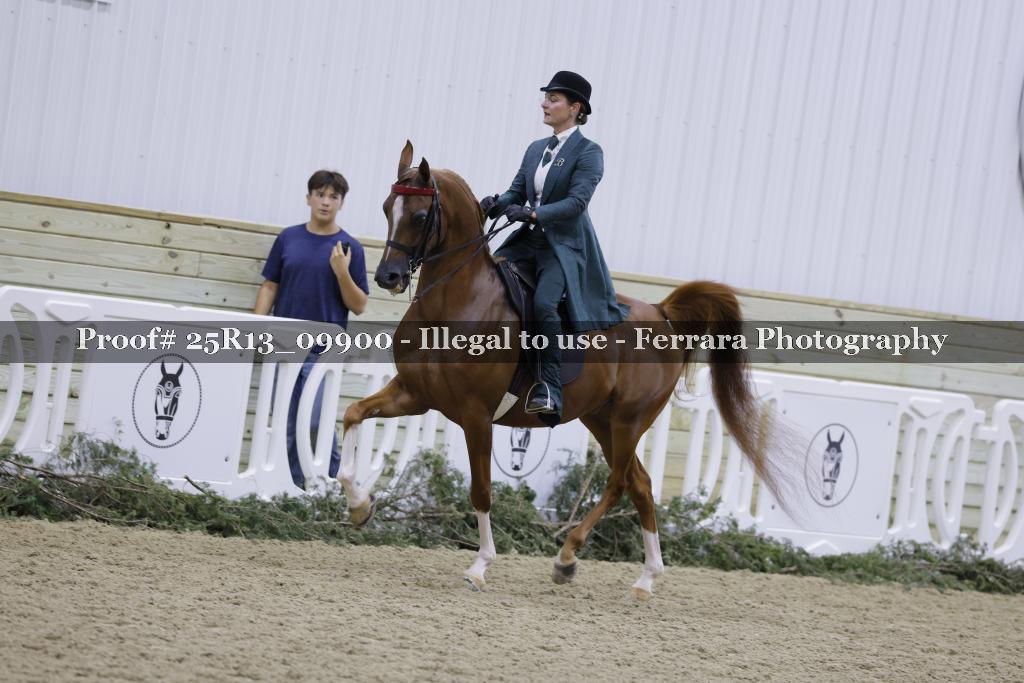 Proof Number 25R13_09900
