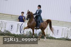 25R13_09900 thumbnail