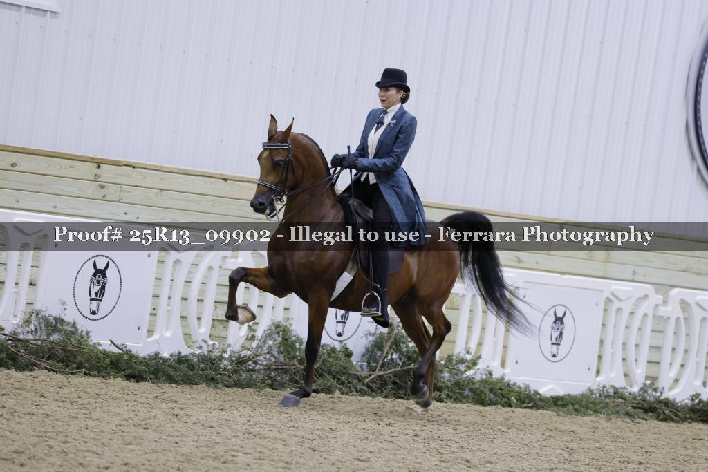 Proof Number 25R13_09902