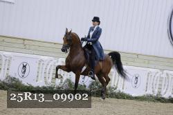 25R13_09902 thumbnail