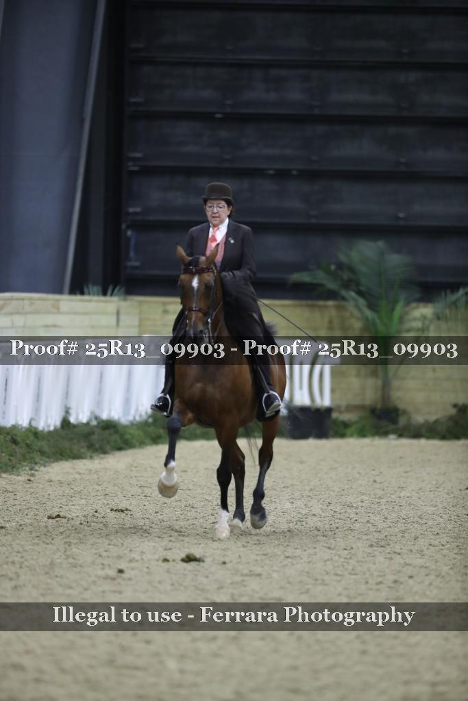 Proof Number 25R13_09903