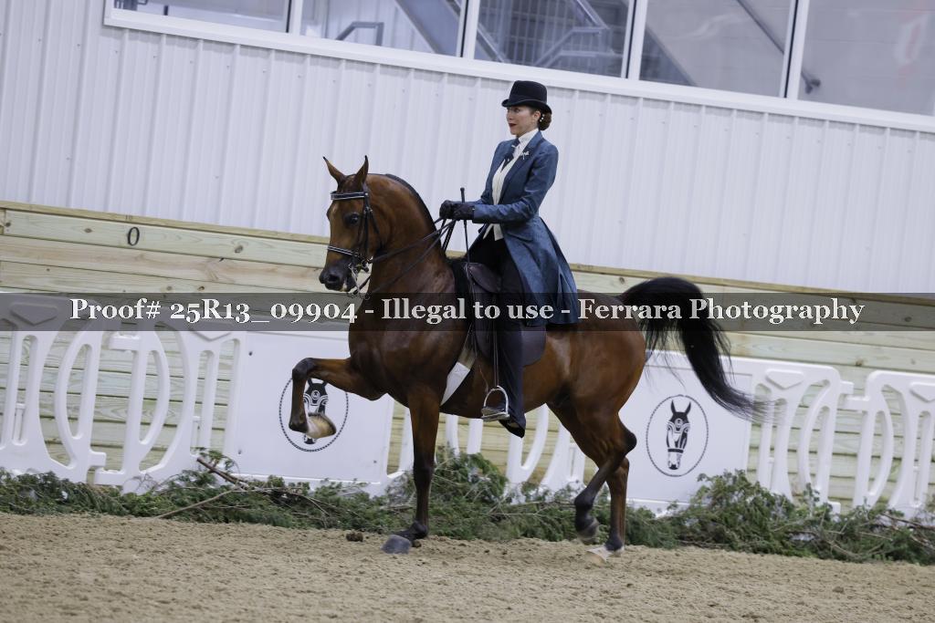 Proof Number 25R13_09904