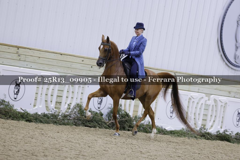 Proof Number 25R13_09905