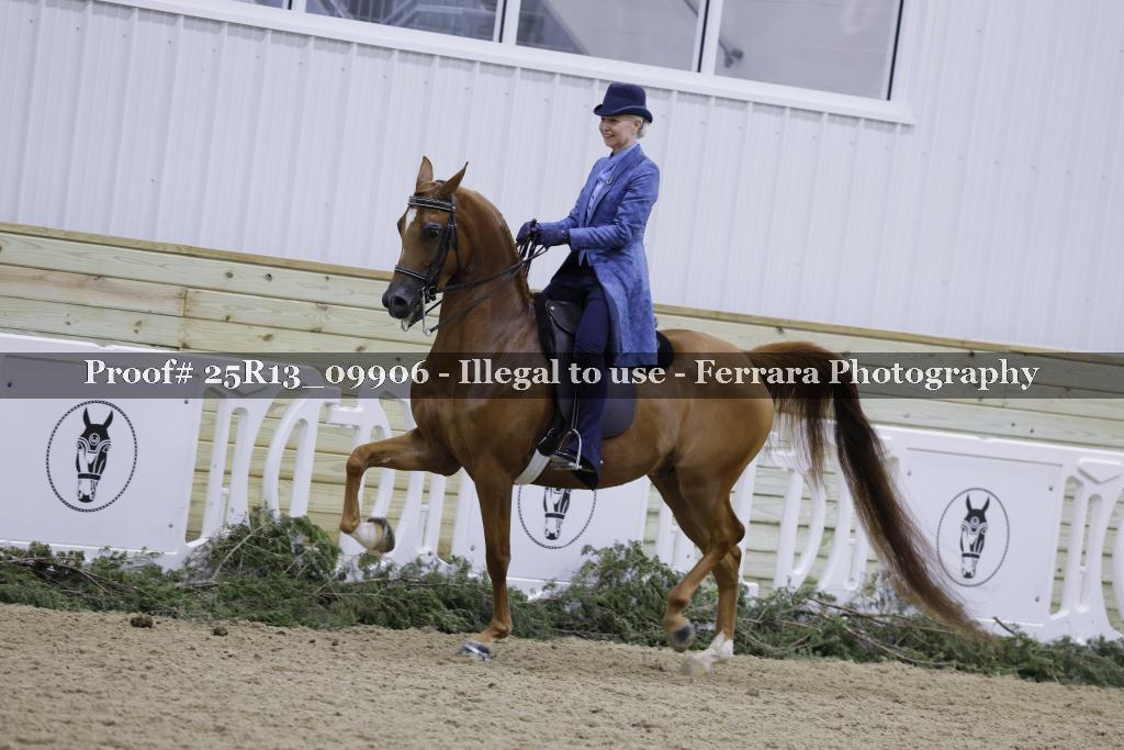 Proof Number 25R13_09906