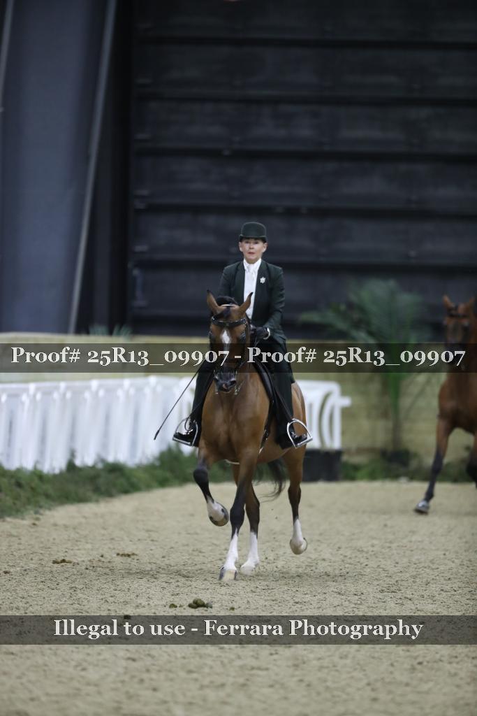 Proof Number 25R13_09907