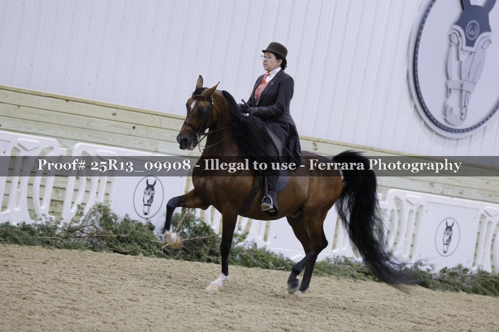 Proof Number 25R13_09908