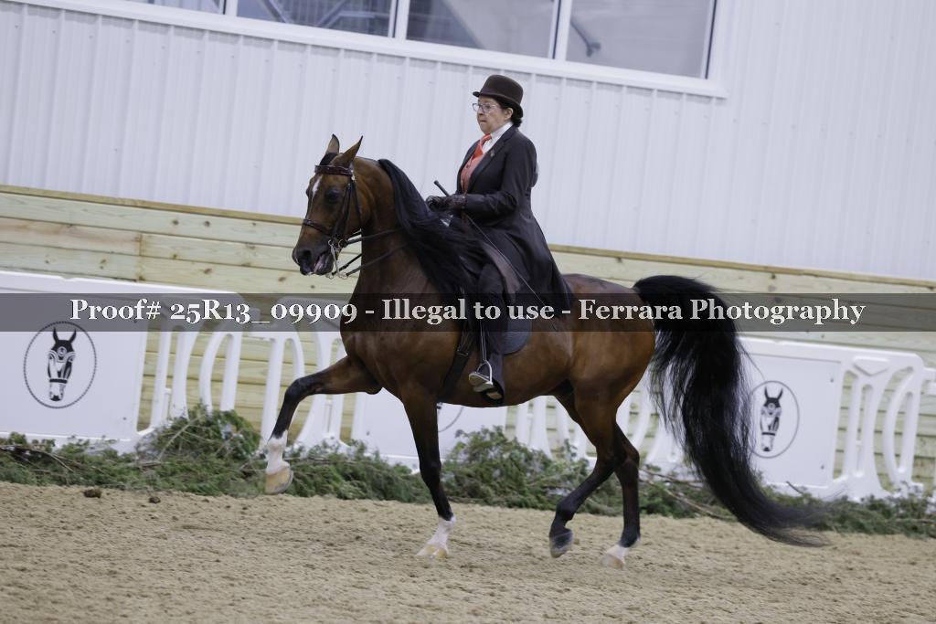 Proof Number 25R13_09909