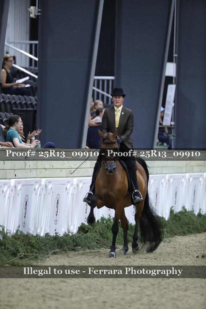 Proof Number 25R13_09910