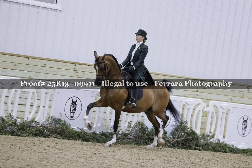 Proof Number 25R13_09911