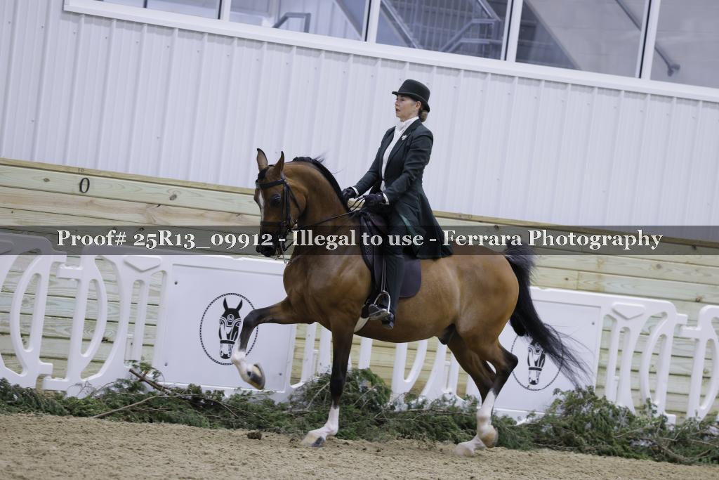 Proof Number 25R13_09912
