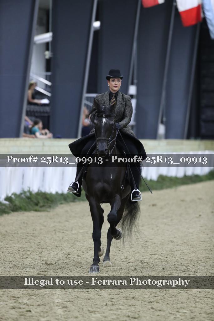 Proof Number 25R13_09913