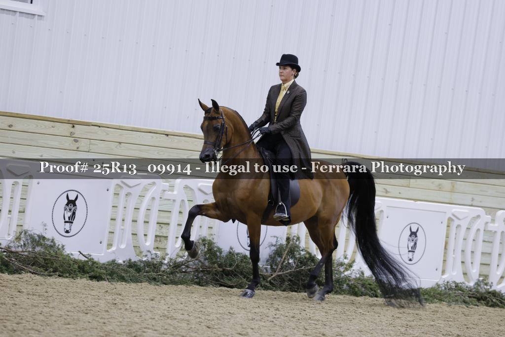 Proof Number 25R13_09914