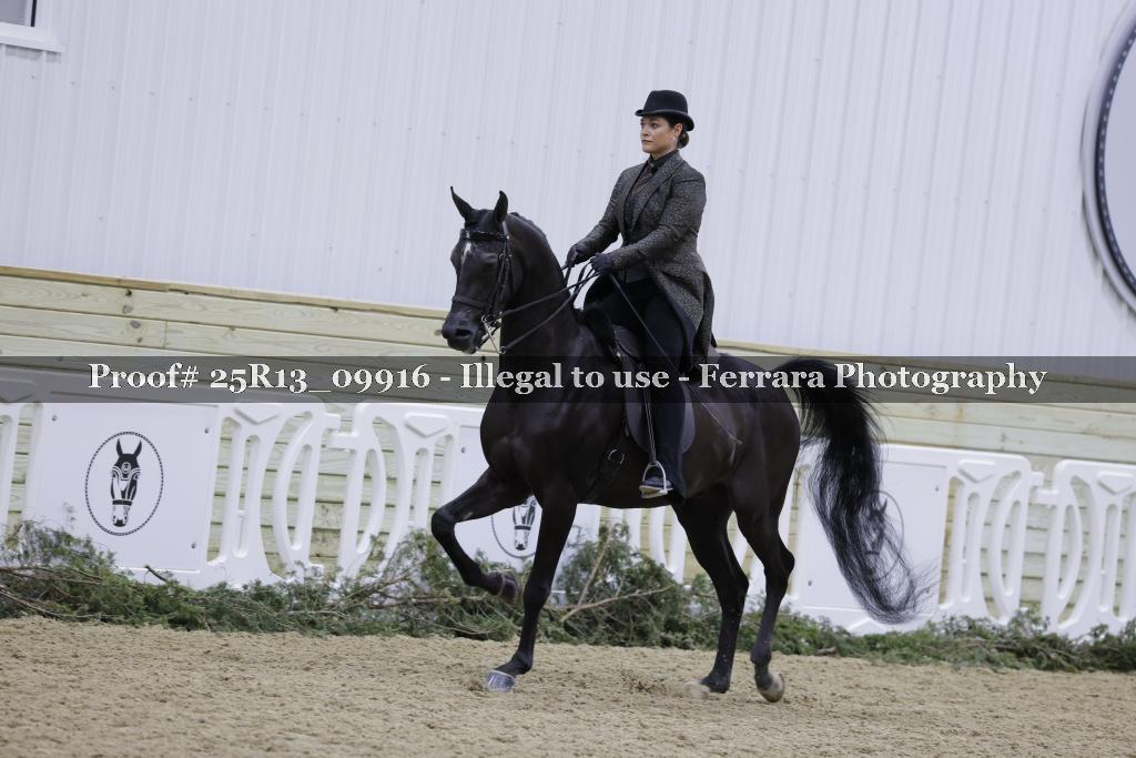 Proof Number 25R13_09916