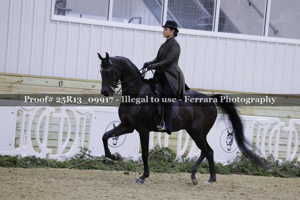 Proof Number 25R13_09917