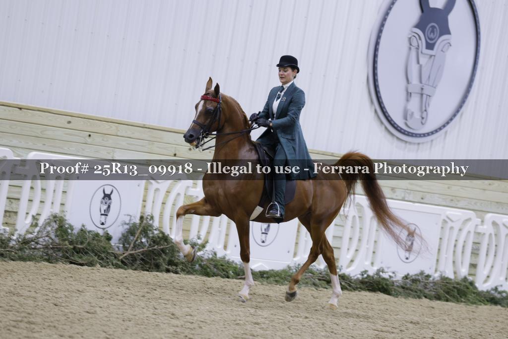 Proof Number 25R13_09918