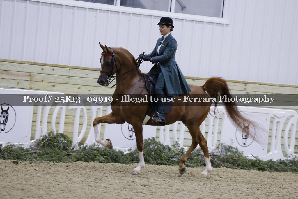 Proof Number 25R13_09919