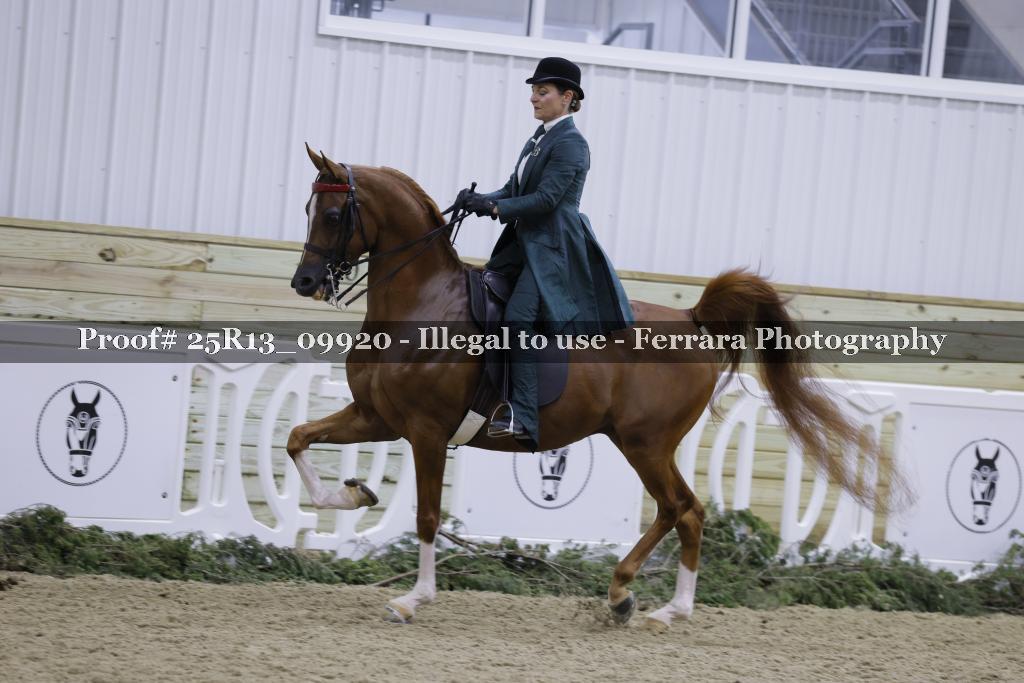 Proof Number 25R13_09920