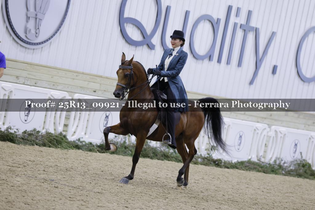 Proof Number 25R13_09921