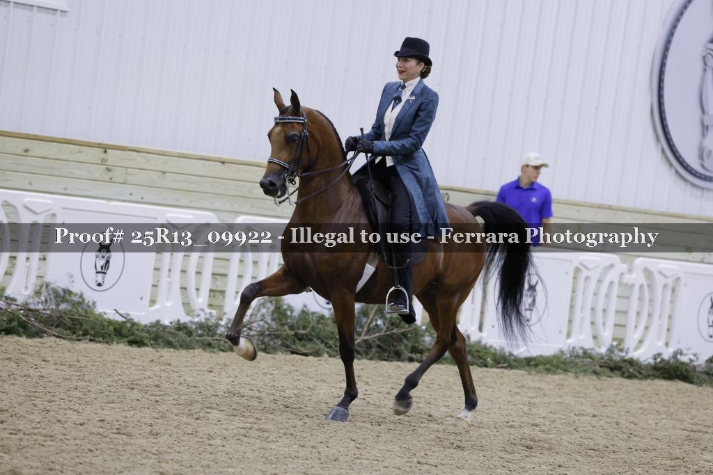 Proof Number 25R13_09922