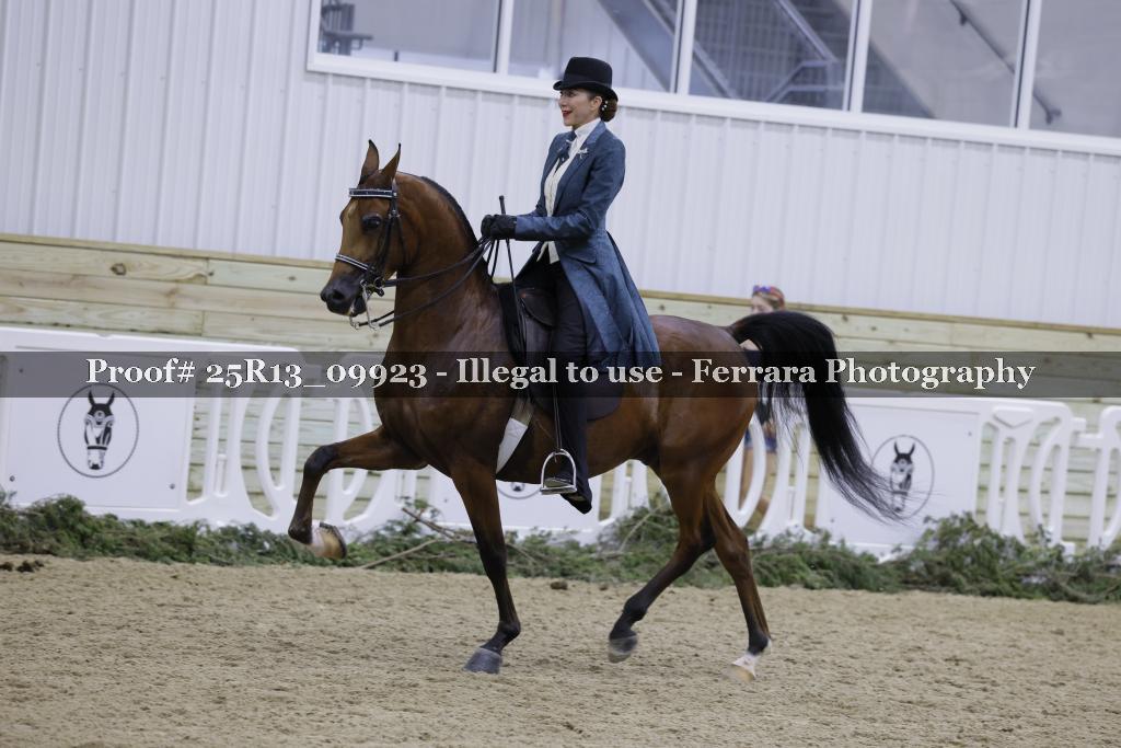 Proof Number 25R13_09923