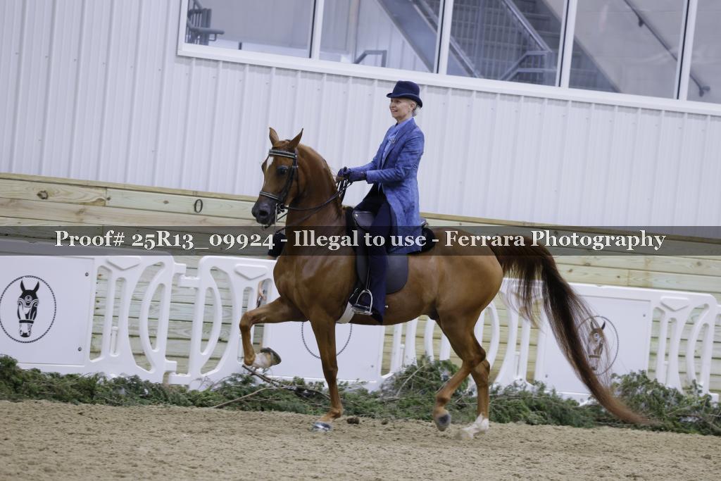 Proof Number 25R13_09924