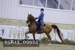 25R13_09924 thumbnail