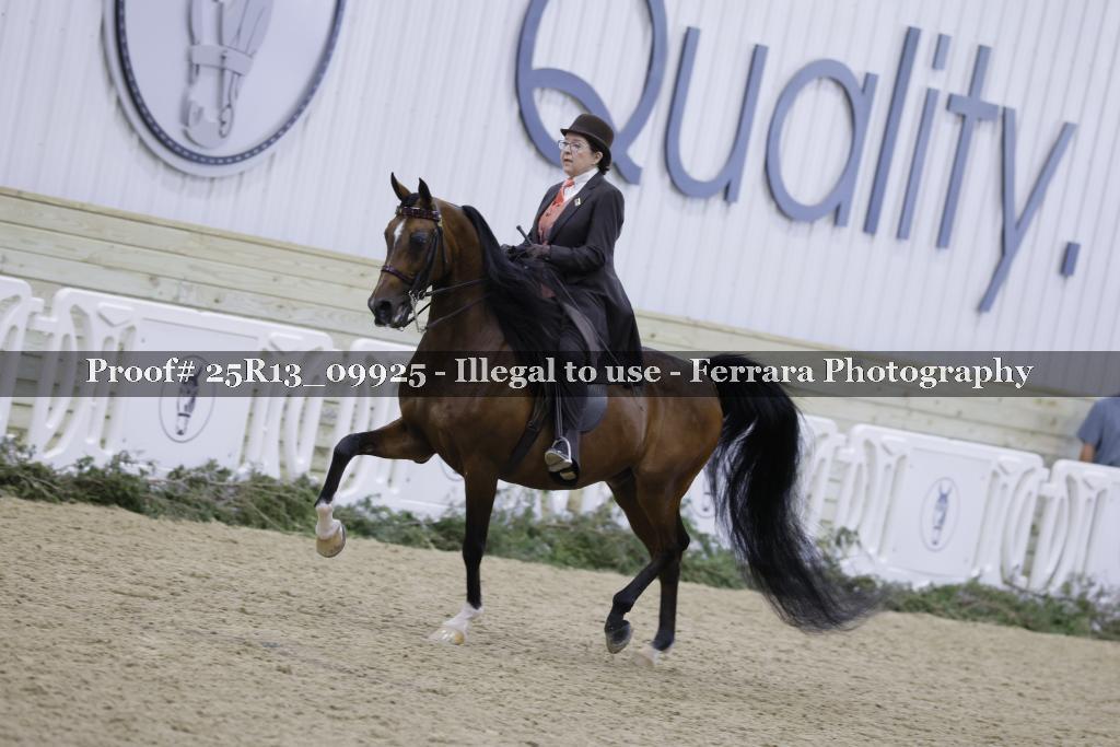 Proof Number 25R13_09925