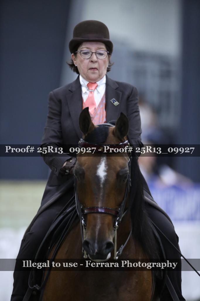Proof Number 25R13_09927