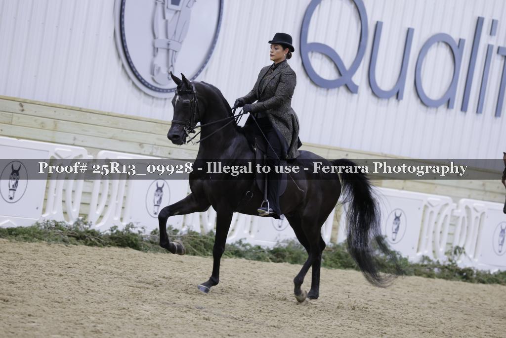 Proof Number 25R13_09928