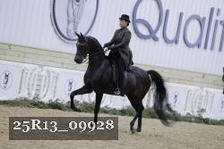 25R13_09928 thumbnail