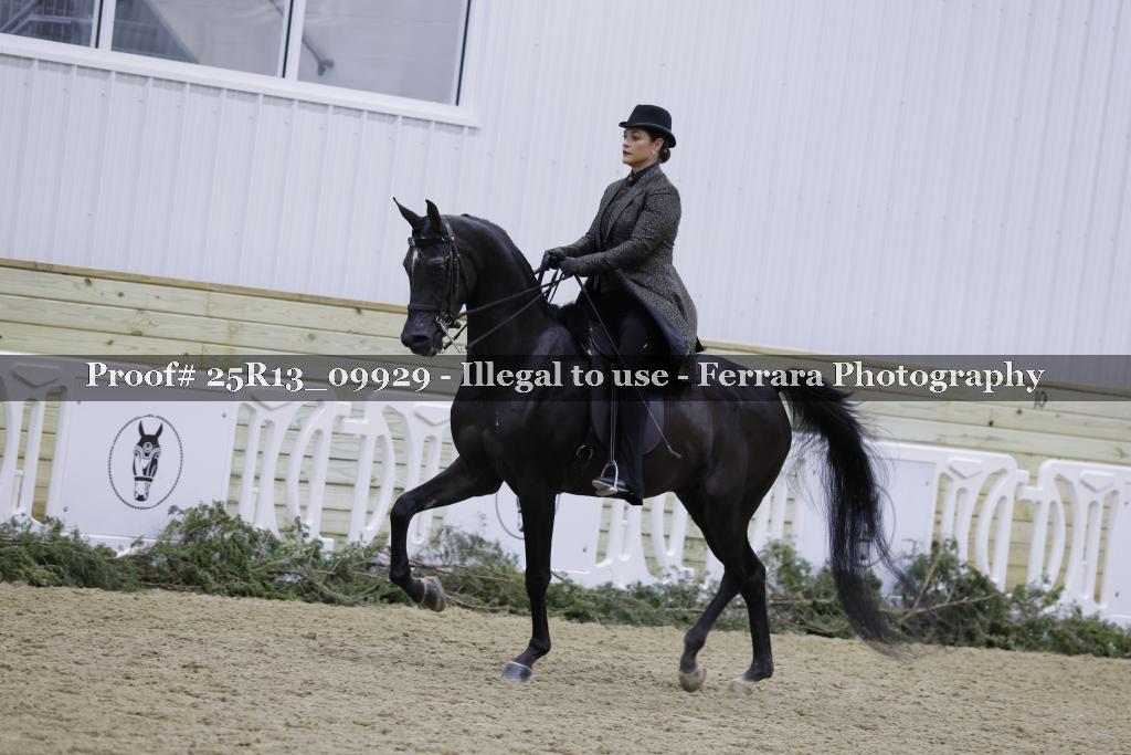 Proof Number 25R13_09929