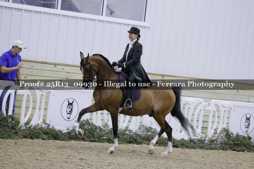 Proof Number 25R13_09930