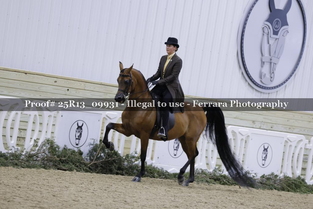 Proof Number 25R13_09931