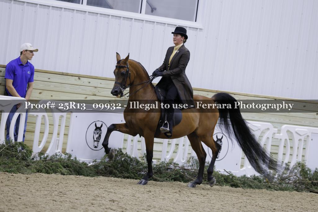 Proof Number 25R13_09932