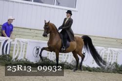 25R13_09932 thumbnail
