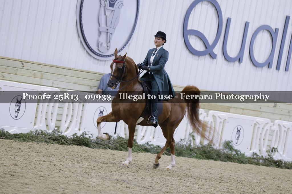 Proof Number 25R13_09933