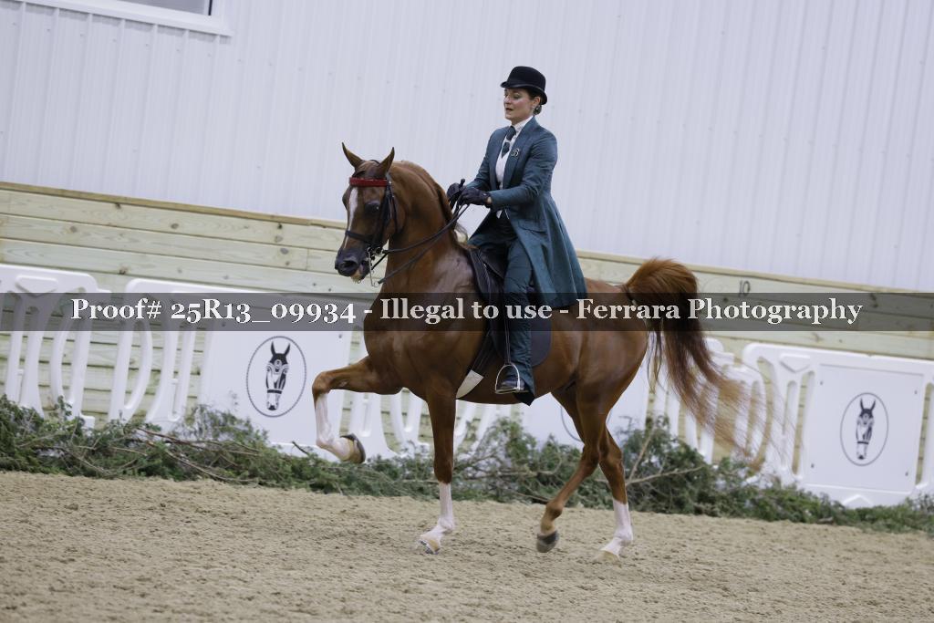 Proof Number 25R13_09934