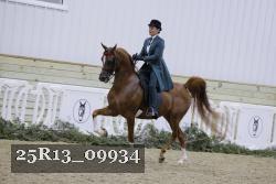 25R13_09934 thumbnail
