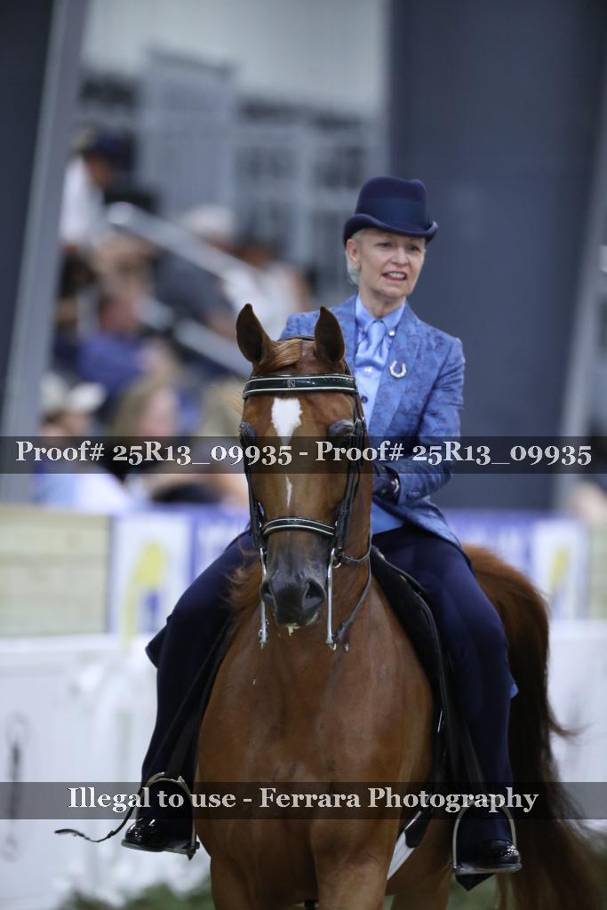 Proof Number 25R13_09935