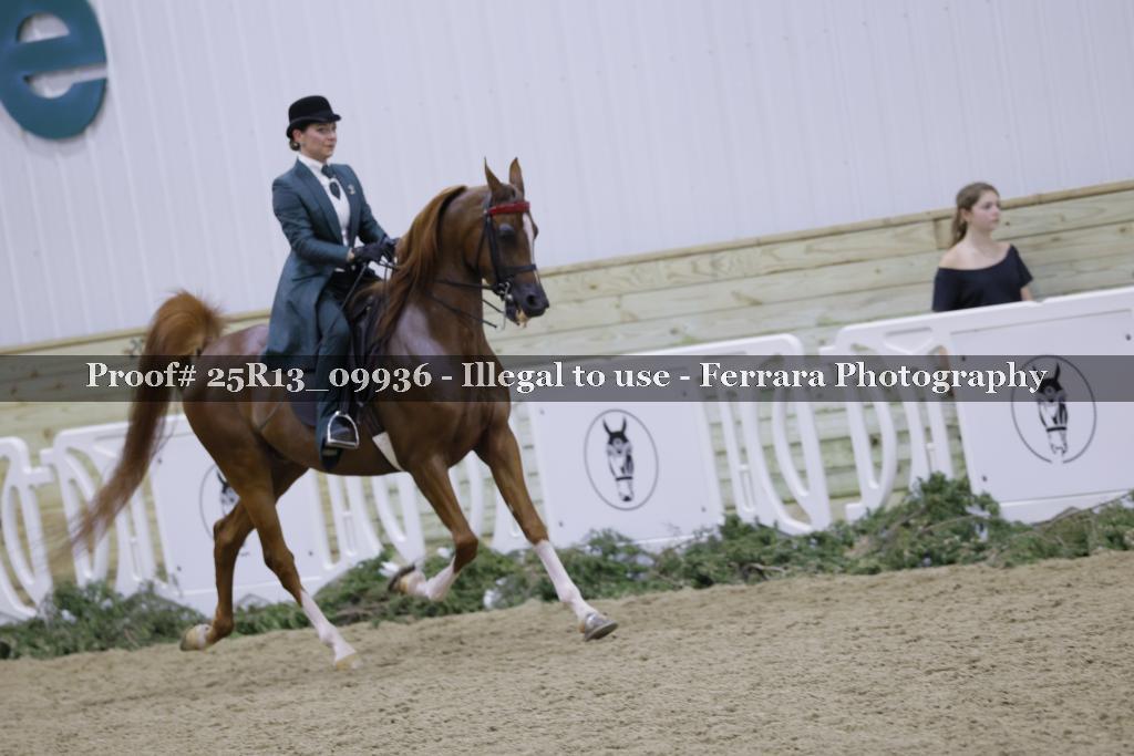 Proof Number 25R13_09936