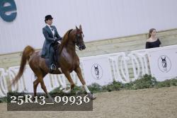 25R13_09936 thumbnail