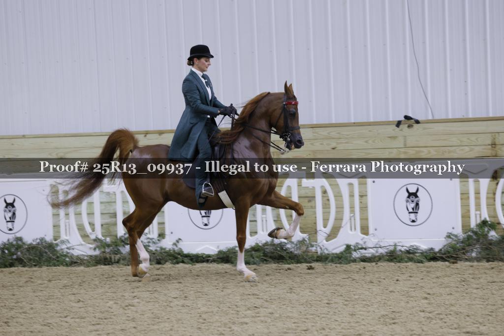Proof Number 25R13_09937
