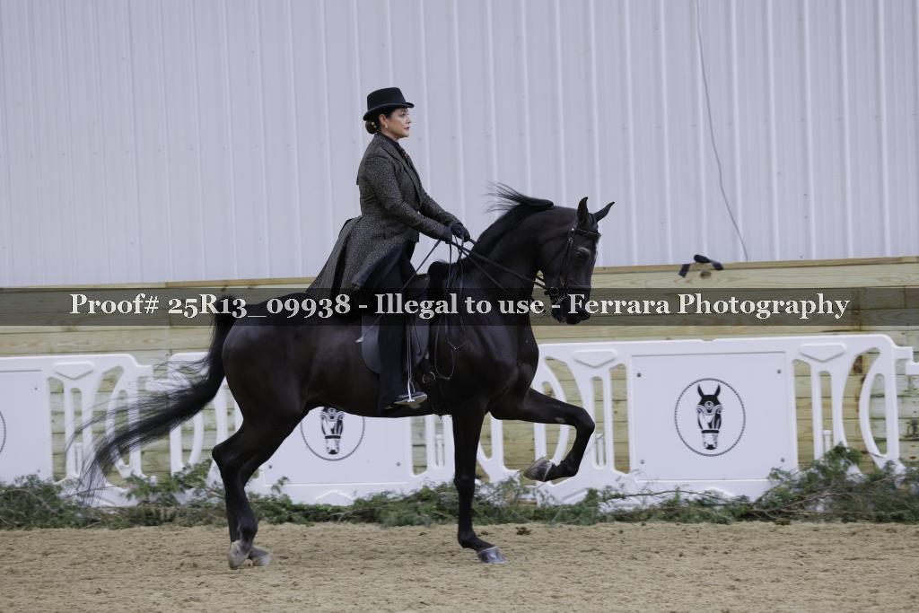 Proof Number 25R13_09938