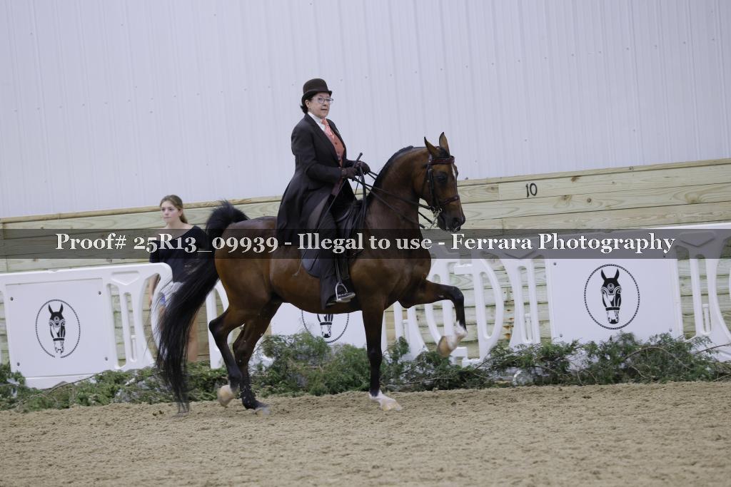 Proof Number 25R13_09939