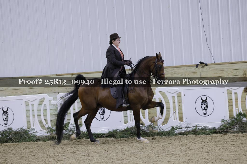 Proof Number 25R13_09940