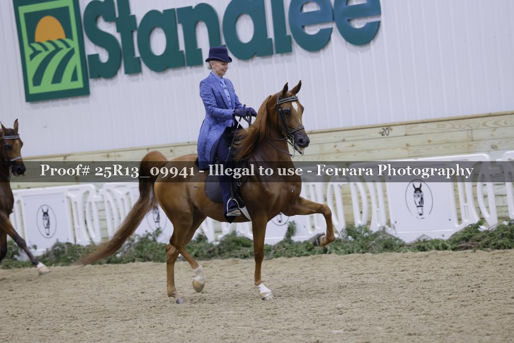 Proof Number 25R13_09941