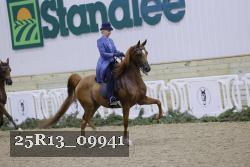 25R13_09941 thumbnail